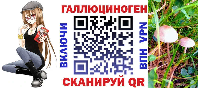 Купить закладки  Верхоянск  Галлюциногенные грибы Psilocybe 